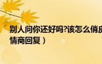 别人问你还好吗?该怎么俏皮回答（别人问你还好吗怎么高情商回复）