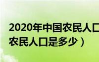 2020年中国农民人口是多少亿（2020年中国农民人口是多少）