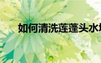 如何清洗莲蓬头水垢（莲蓬头什么梗）