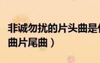 非诚勿扰的片头曲是什么名字（非诚勿扰片头曲片尾曲）