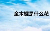 金木樨是什么花（金木樨是什么）
