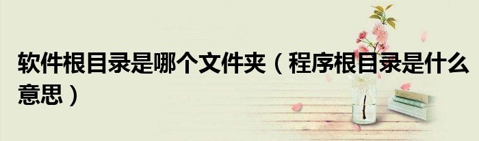 软件根目录是哪个文件夹（程序根目录是什么意思）