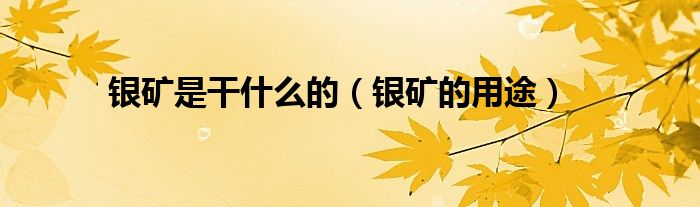 银矿是干什么的（银矿的用途）