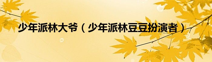 少年派林大爷（少年派林豆豆扮演者）