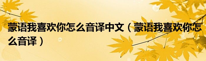 蒙语我喜欢你怎么音译中文（蒙语我喜欢你怎么音译）
