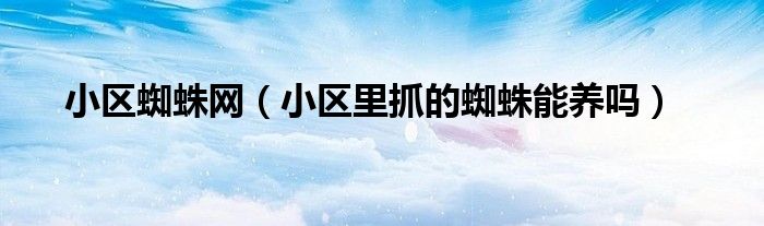 小区蜘蛛网（小区里抓的蜘蛛能养吗）