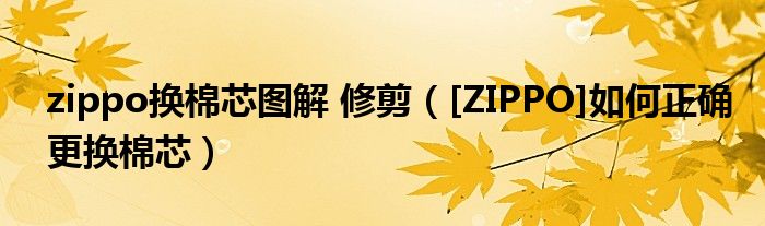zippo换棉芯图解 修剪（[ZIPPO]如何正确更换棉芯）