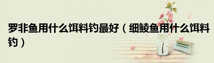 罗非鱼用什么饵料钓最好（细鲮鱼用什么饵料钓）