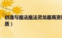 创造与魔法魔法灵龙最高资质（创造与魔法魔法灵龙极品资质）