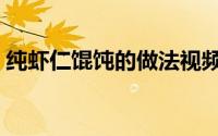 纯虾仁馄饨的做法视频（纯虾仁馄饨的做法）