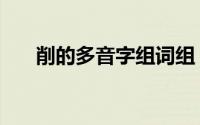 削的多音字组词组（削的多音字组词）
