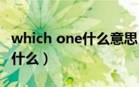which one什么意思（whichone中文意思是什么）