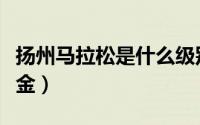 扬州马拉松是什么级别（扬州马拉松一等奖奖金）