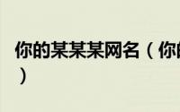 你的某某某网名（你的某某某是哪首歌的歌词）