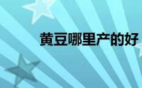黄豆哪里产的好（黄豆十大产地）