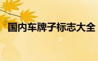 国内车牌子标志大全（国内车牌标志大全）