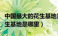 中国最大的花生基地是哪里的（中国最大的花生基地是哪里）