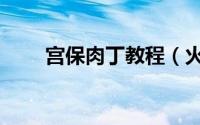 宫保肉丁教程（火筵家常宫保肉丁）