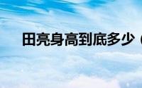 田亮身高到底多少（田亮身高多少cm）