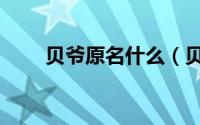 贝爷原名什么（贝爷的全名是什么）
