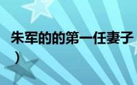 朱军的的第一任妻子（朱军的第一任妻子是谁）