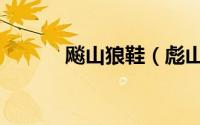 飚山狼鞋（彪山狼是品牌鞋吗）