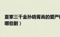 夏家三千金孙晓菁真的爱严格吗（夏家三千金孙晓菁还演过哪些剧）