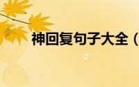 神回复句子大全（神回复句句经典）