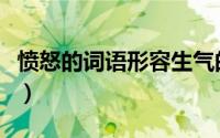 愤怒的词语形容生气的词语（形容生气的词语）