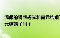 温柔的诱惑杨光和高元结婚了吗视频（温柔的诱惑杨光和高元结婚了吗）