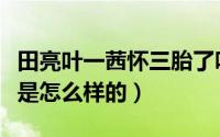 田亮叶一茜怀三胎了吗（田亮叶一茜婚姻状况是怎么样的）
