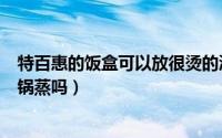 特百惠的饭盒可以放很烫的汤吗（特百惠的塑料饭盒可以用锅蒸吗）