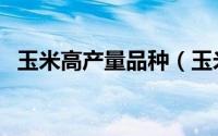 玉米高产量品种（玉米高产有哪九种种子）