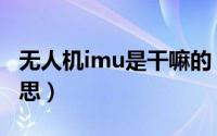 无人机imu是干嘛的（大疆无人机imu什么意思）
