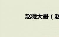 赵薇大哥（赵薇哥哥简历）