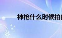 神枪什么时候拍的（神枪有几部）