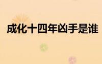 成化十四年凶手是谁（成化14年剧情解析）