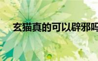 玄猫真的可以辟邪吗（玄猫适合家养吗）