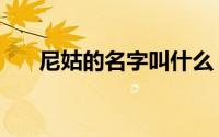 尼姑的名字叫什么（尼姑的名字由来）