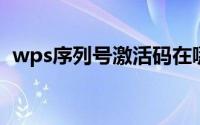 wps序列号激活码在哪里填（WPS序列号）