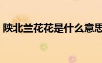 陕北兰花花是什么意思（兰花花是什么意思）