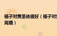 杨子对黄圣依很好（杨子对黄圣依是真爱吗他为什么和前妻离婚）