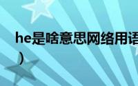 he是啥意思网络用语（网络用语he什么意思）