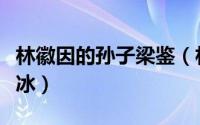 林徽因的孙子梁鉴（林徽因的女儿为何叫梁再冰）