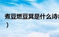 煮豆燃豆萁是什么诗名（煮豆燃豆萁什么意思）