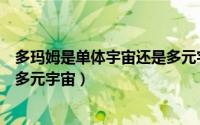 多玛姆是单体宇宙还是多元宇宙啊（多玛姆是单体宇宙还是多元宇宙）