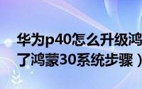 华为p40怎么升级鸿蒙4.0（p40怎么升级不了鸿蒙30系统步骤）