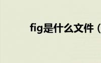fig是什么文件（fig是什么行业）