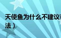 天使鱼为什么不建议养（天使鱼的正确养殖方法）