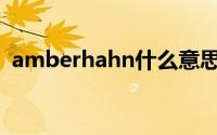amberhahn什么意思（AMBER什么意思）
